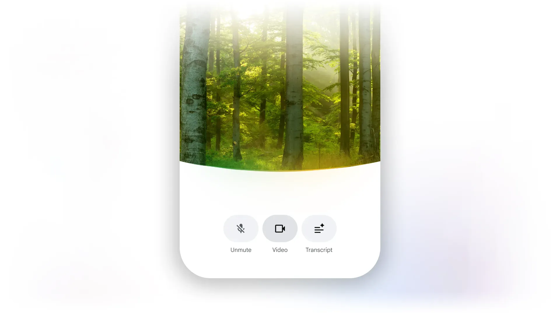 UI interface overlaying an image of a sunlit green forest.