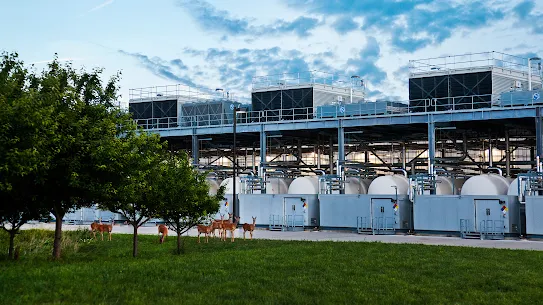 A pack of deer in a field of grass outside a data center in Council Bluffs, Iowa