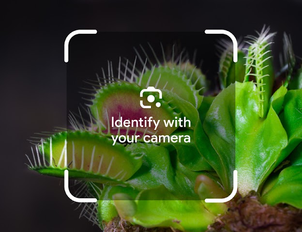 A close-up shot of a Venus Flytrap plant within a Google Lens viewfinder overlay. Text in the center reads "Identify with your camera."