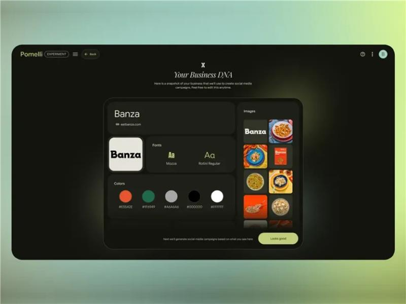 Digital dashboard titled "Your Business DNA" displaying brand assets for Banza, including logos, fonts, colors, and food photography.