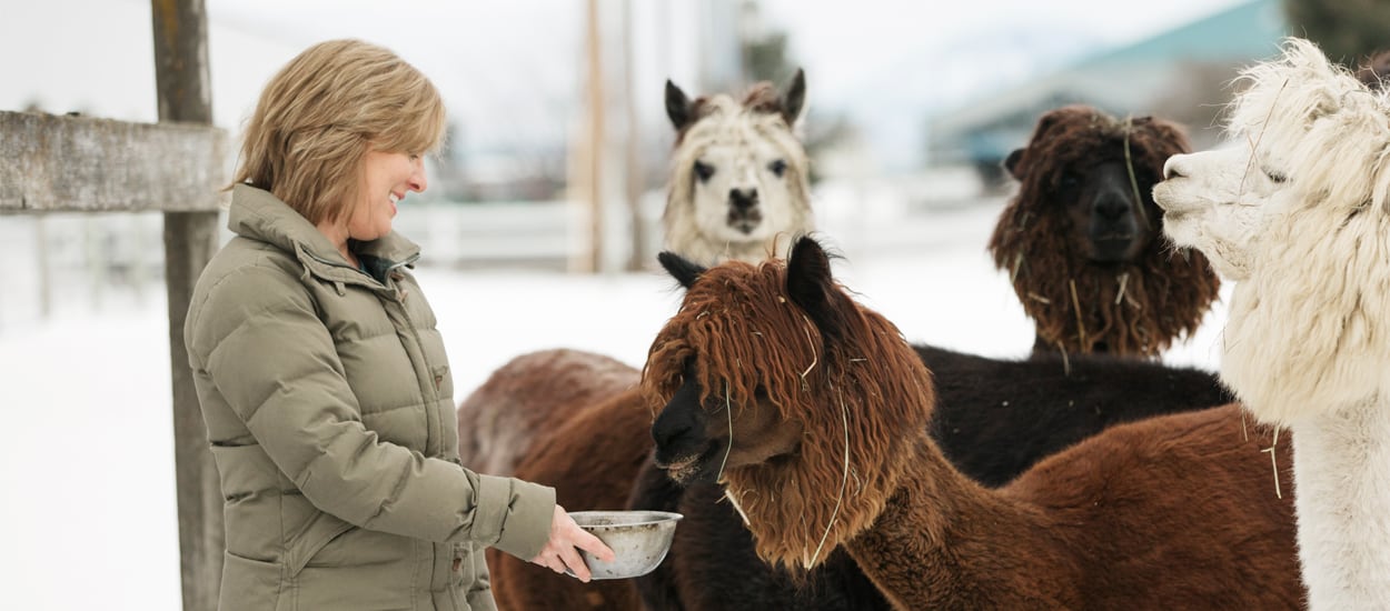 Image of Alpaca Direct, LLC, a small business in Hayden, Idaho