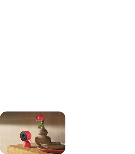 Berry Nest cam (indoor)